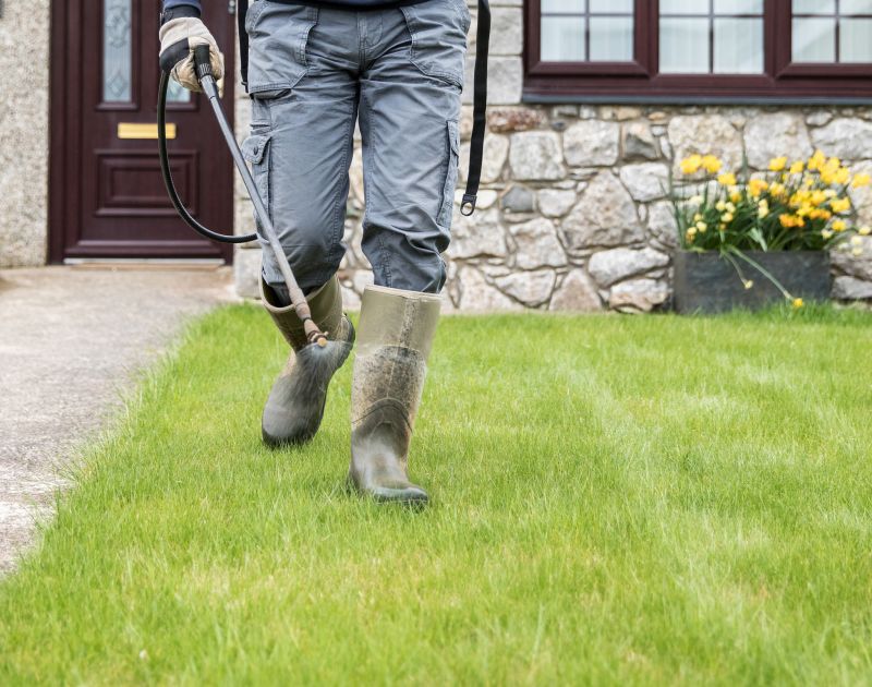 Backyard Hardscaping